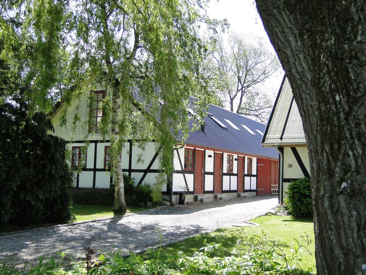 Dyssegaard B&B Skallerup Екстериор снимка